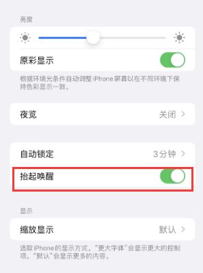 鄯善苹果授权维修站分享iPhone轻点无法唤醒怎么办