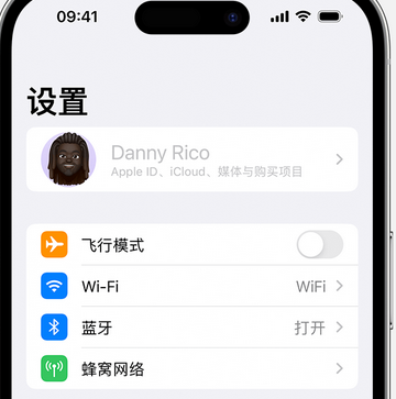 鄯善appleID维修服务iPhone设置中Apple ID显示为灰色无法使用 