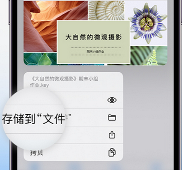 鄯善apple维修中心分享iPhone文件应用中存储和找到下载文件