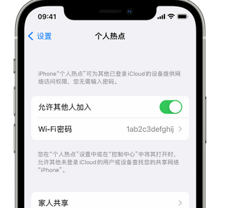 鄯善apple服务站点分享iPhone上个人热点丢失了怎么办 