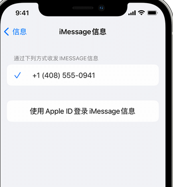 鄯善apple维修iPhone上无法正常发送iMessage信息