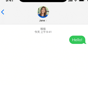 鄯善apple维修iPhone上无法正常发送iMessage信息