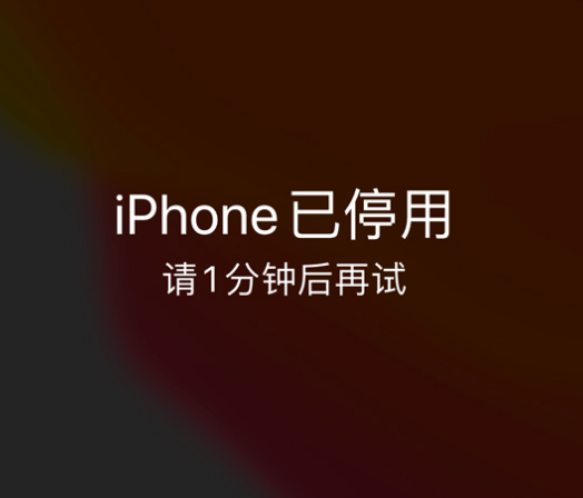 鄯善苹果手机维修分享:iPhone 显示“不可用”或“已停用”怎么办？还能保留数据吗？ 