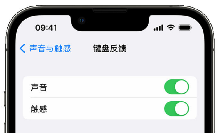 鄯善苹果手机维修分享iPhone 14触感键盘使用方法 