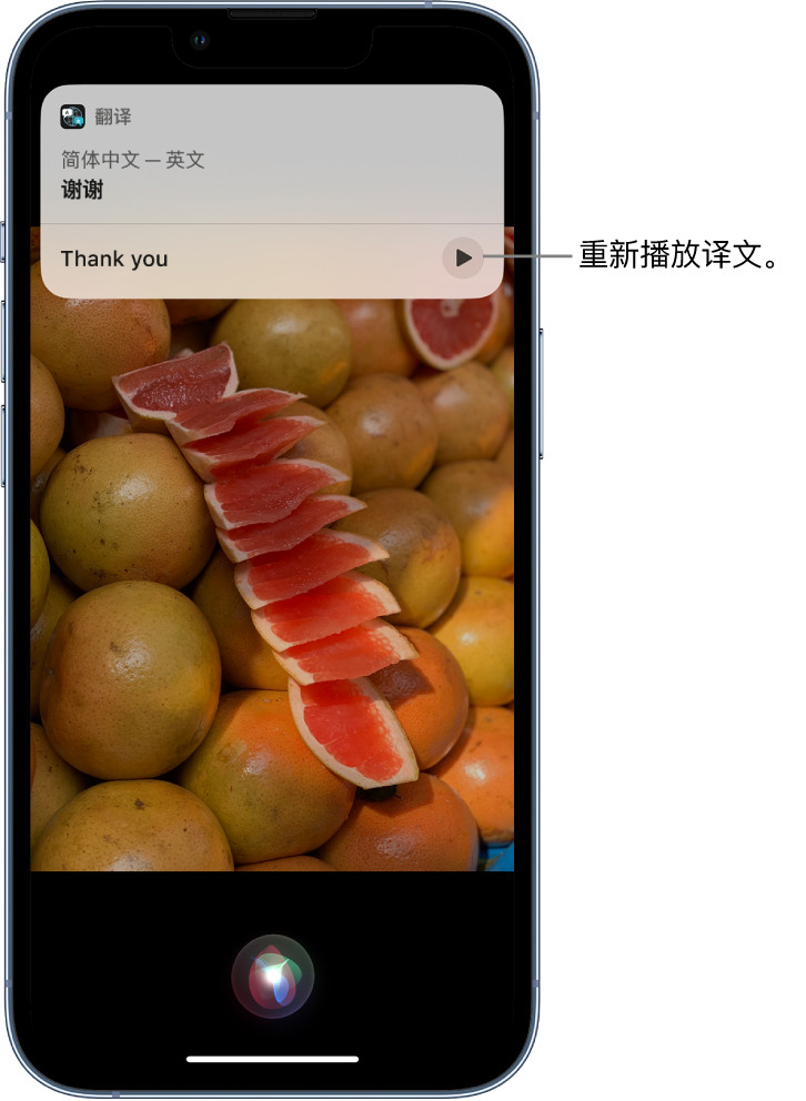 鄯善苹果14维修分享 iPhone 14 机型中使用 Siri：了解 Siri 能帮你做什么 