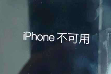 鄯善苹果服务网点分享锁屏界面显示“iPhone 不可用”如何解决 