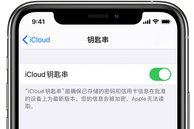 鄯善苹果手机维修分享在 iPhone 上开启 iCloud 钥匙串之后会储存哪些信息 