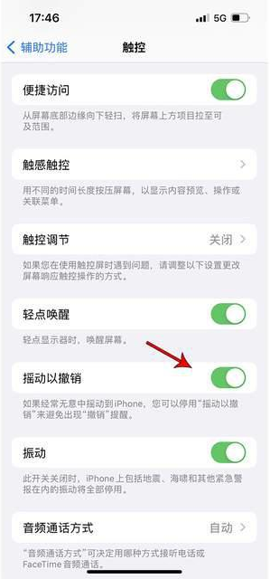 鄯善苹果手机维修分享iPhone手机如何设置摇一摇删除文字 